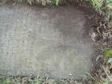 image of grave number 947723